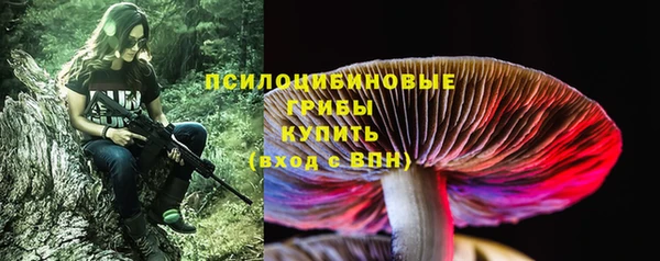 спиды Беломорск